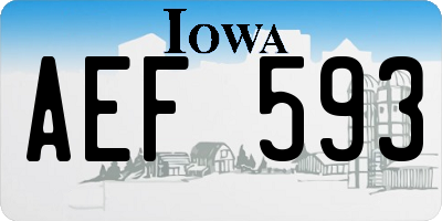 IA license plate AEF593