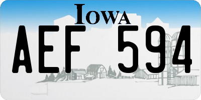 IA license plate AEF594