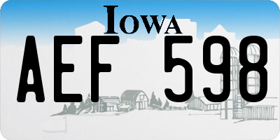 IA license plate AEF598