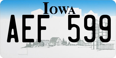 IA license plate AEF599