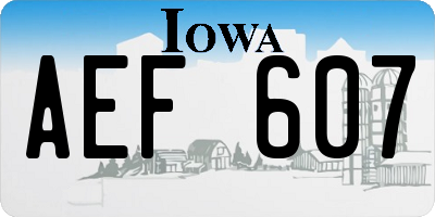 IA license plate AEF607