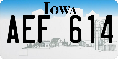 IA license plate AEF614