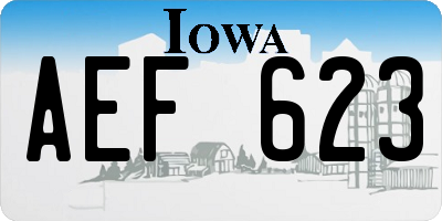 IA license plate AEF623
