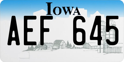 IA license plate AEF645