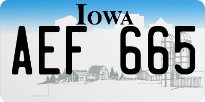 IA license plate AEF665
