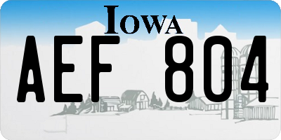 IA license plate AEF804