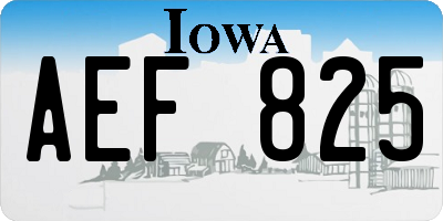 IA license plate AEF825