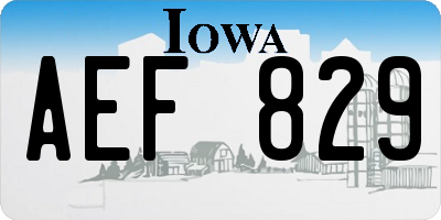 IA license plate AEF829