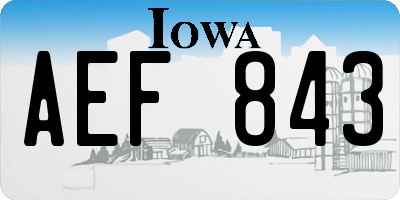 IA license plate AEF843