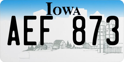 IA license plate AEF873