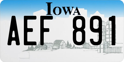 IA license plate AEF891