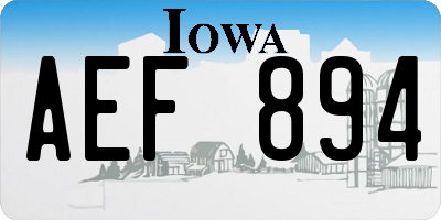 IA license plate AEF894