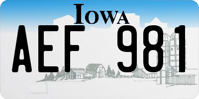 IA license plate AEF981