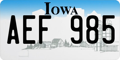 IA license plate AEF985