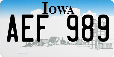 IA license plate AEF989