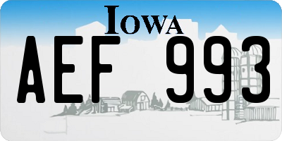 IA license plate AEF993