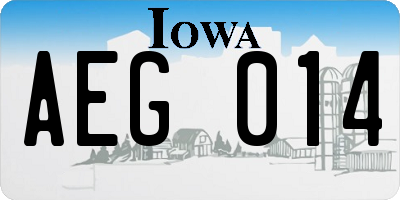 IA license plate AEG014