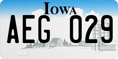 IA license plate AEG029