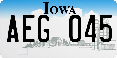 IA license plate AEG045