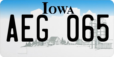 IA license plate AEG065