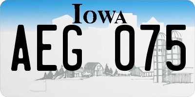 IA license plate AEG075