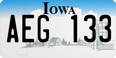 IA license plate AEG133