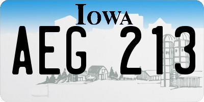IA license plate AEG213