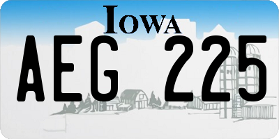 IA license plate AEG225