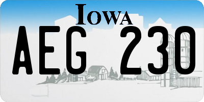 IA license plate AEG230