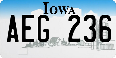 IA license plate AEG236