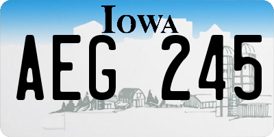 IA license plate AEG245