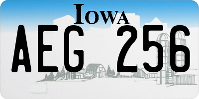 IA license plate AEG256