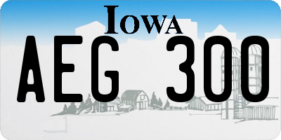 IA license plate AEG300