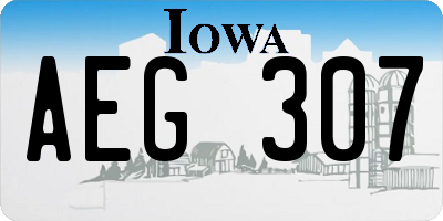 IA license plate AEG307