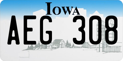 IA license plate AEG308