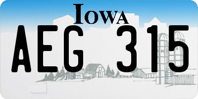 IA license plate AEG315