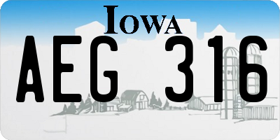 IA license plate AEG316