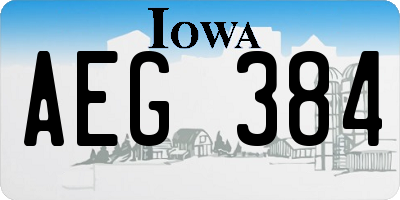 IA license plate AEG384