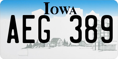 IA license plate AEG389