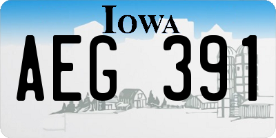 IA license plate AEG391