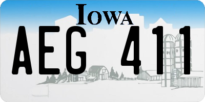 IA license plate AEG411