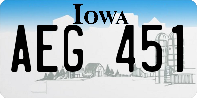IA license plate AEG451