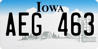 IA license plate AEG463