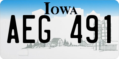 IA license plate AEG491