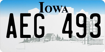 IA license plate AEG493
