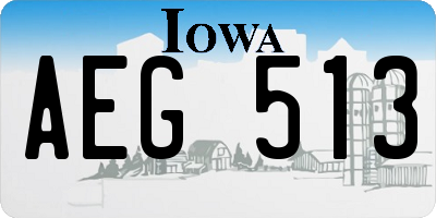 IA license plate AEG513