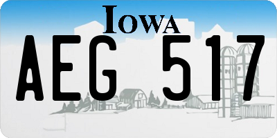 IA license plate AEG517