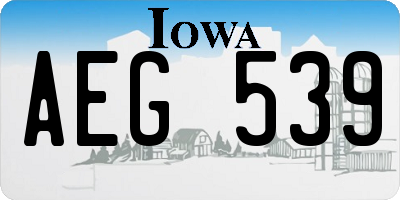 IA license plate AEG539