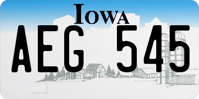 IA license plate AEG545