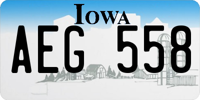 IA license plate AEG558